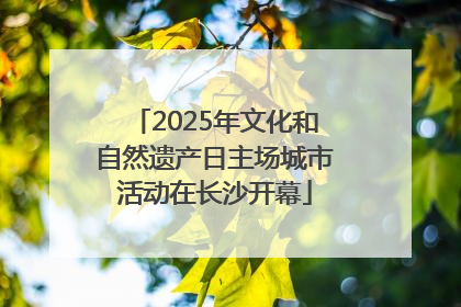 2025年文化和自然遗产日主场城市活动在长沙开幕